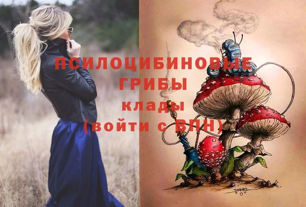 скорость Алексеевка