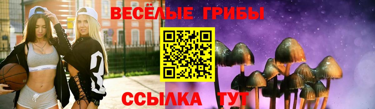 Галлюциногенные грибы ЛСД Санкт-Петербург